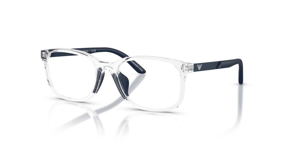 EMPORIO ARMANI 0EK3008U 5893 Brille Other