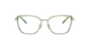 EMPORIO ARMANI EA1152 3363 Brille Other