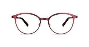 FLEYE Gry 310 Brille Other
