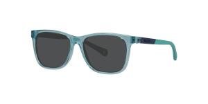 POLAROID PLD 8058/S MVU Brille Blue