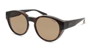 POLAROID PLD 9017/S 086 Solbrille Brun med Brun glass