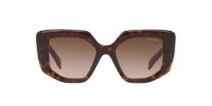 PRADA PR 14ZS 2AU6S1 Solbrille Brun med Brun glass