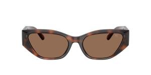 RALPH LAUREN 0RL8231U 624173 Brille Multi