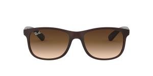 RAYBAN 0RB4202 607313 Solbrille Brun med Brun glass