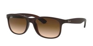 RAYBAN 0RB4202 607313 Solbrille Brun med Brun glass