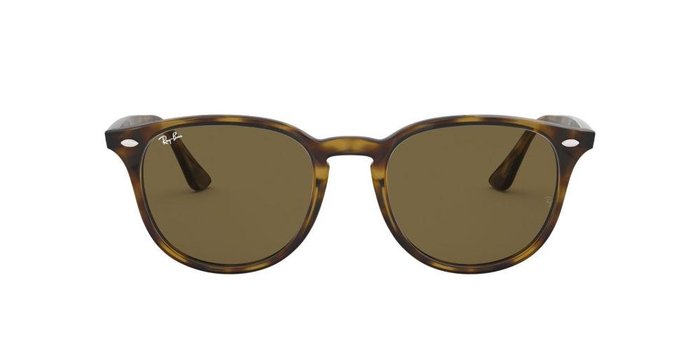 RAYBAN 0RB4259 710/73 Solbrille Multi med Brun glass