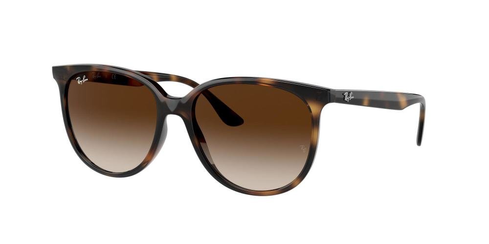 RAYBAN 0RB4378 710/13 Solbrille Annet med Brun glass