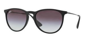 RAYBAN ERIKA 0RB4171 622/8G Solbrille Sort med Grå / Sort glass