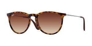 RAYBAN ERIKA 0RB4171 865/13 Solbrille Multi med Brun glass