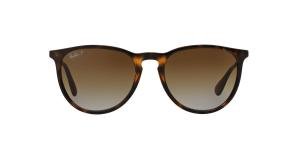 RAYBAN ERIKA 0RB4171 710/T5 Solbrille Multi med Brun glass
