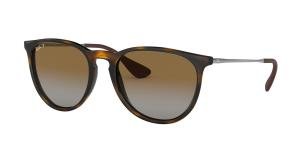 RAYBAN ERIKA 0RB4171 710/T5 Solbrille Multi med Brun glass