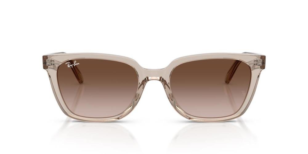 RAYBAN 0RB2243D 682713 Brille Brown