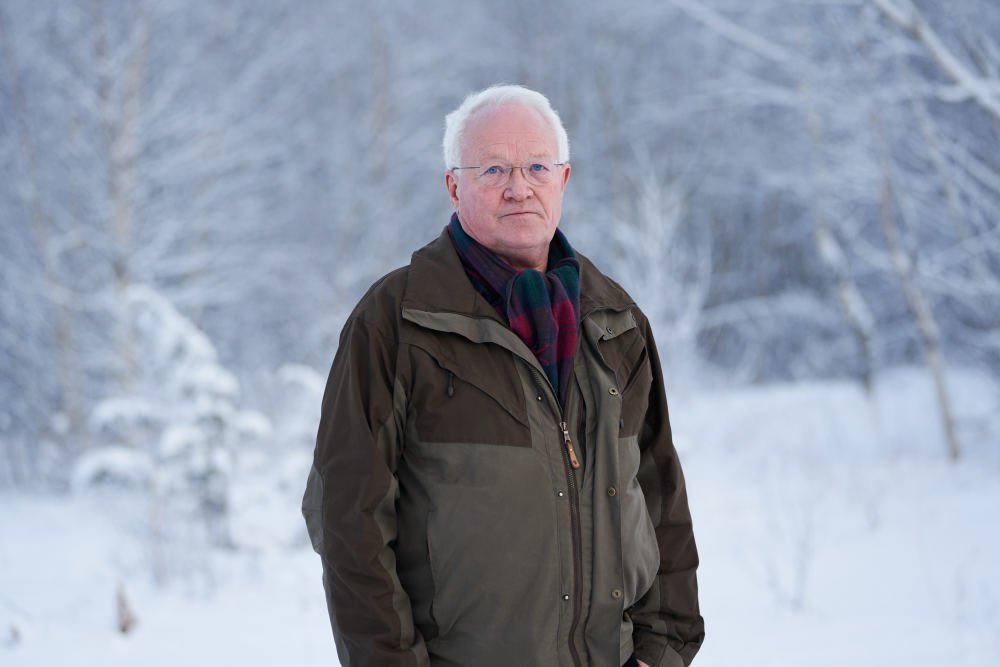 Portrett av bjørn