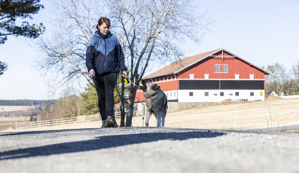 Kvinne på tur med hund i landlige omgivelser